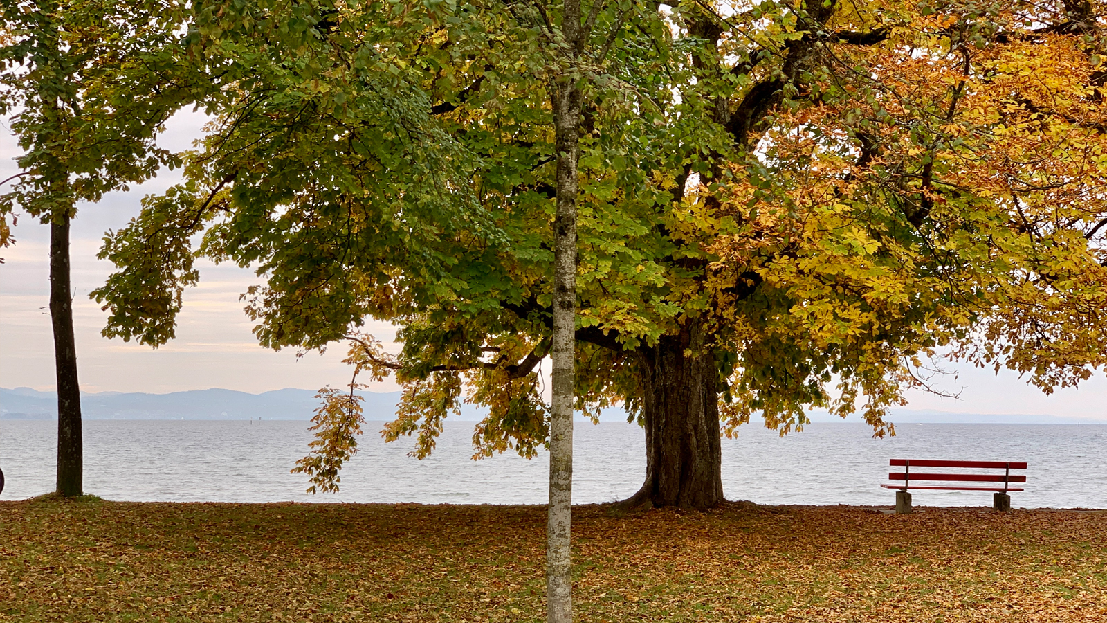 Ein schöner Spätsommer am Bodensee ist gut für die Seele